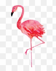Flamenco Tumblr - Flamingo Png Hd Emoji