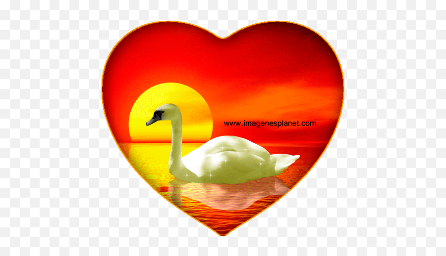 Corazon Con Agua Animada Con Frases De Amor - Imagen De Corazon Con Movimiento Emoji,Emoticones De Amor
