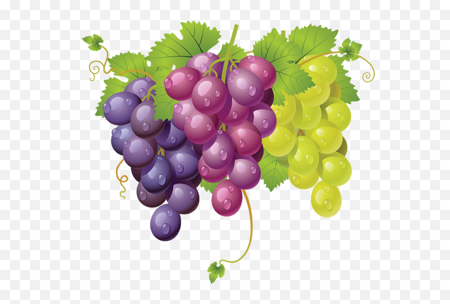 Grapes - Transparent Grapes Leaves Clipart Emoji,Grapes Emoji