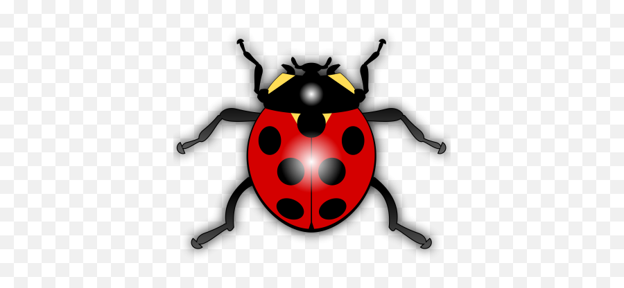 Fly Bug Insect Clip Art Free Vector For - Clipart Images Of Insects Emoji,Zzz Ant Ladybug Ant Emoji