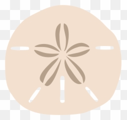 Dollars Clipart Svg Dollars Svg - Transparent Background Sand Dollar Clipart Emoji,Sand Dollar Emoji