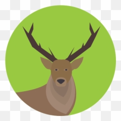 Wild Life Animal Kingdom Zoo Animals - Deer Icon Emoji