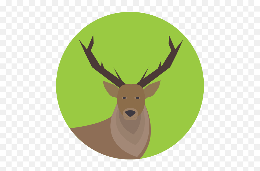 Wild Life Animal Kingdom Zoo Animals - Deer Icon Emoji,Deer Emoticon