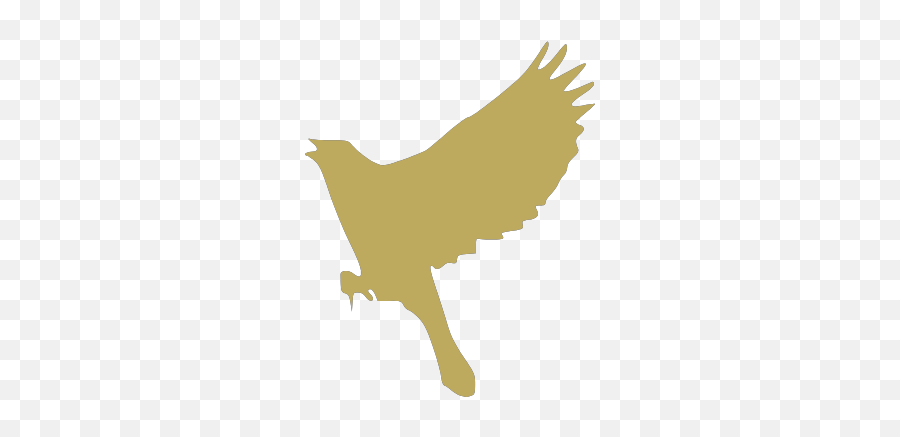 Gtsport Decal Search Engine - Eagle Emoji,Virgin Island Flag Emoji