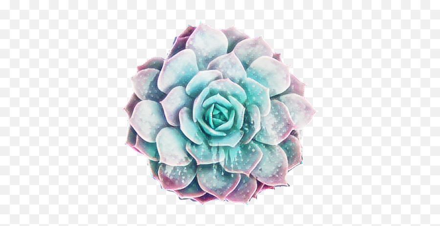 Succulent Galaxy Pastel Sticker - Succulent Sticker Transparent Background Emoji,Succulent Emoji