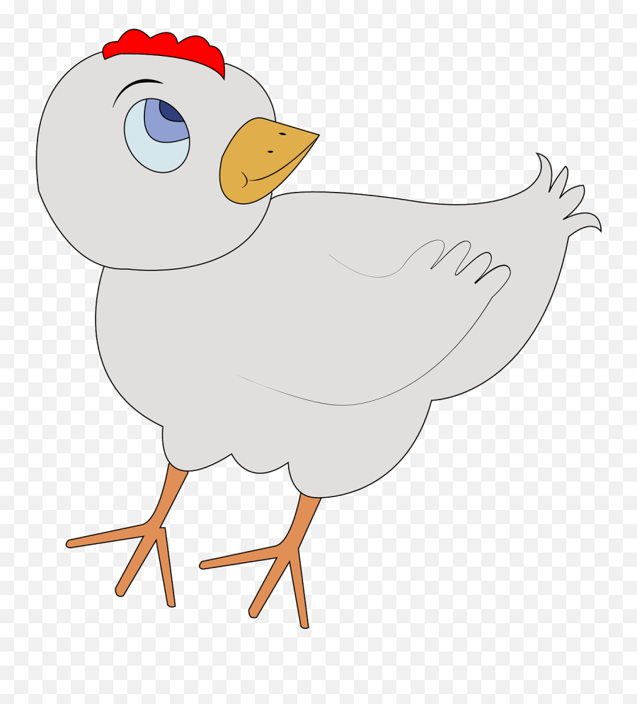 Poultry Bird Chicken Chick Farm - Chicken Emoji,Turkey Leg Emoji