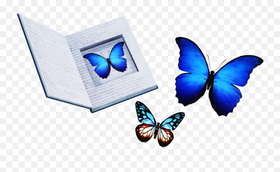 Mmd - Butterfly Emoji,Butterfly Emoji