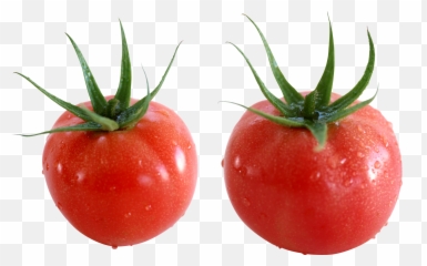 Tomato Drawing Vegetable Clip Art - Tomato Png Download Tomate Cherry Emoji,Tomato Emoji