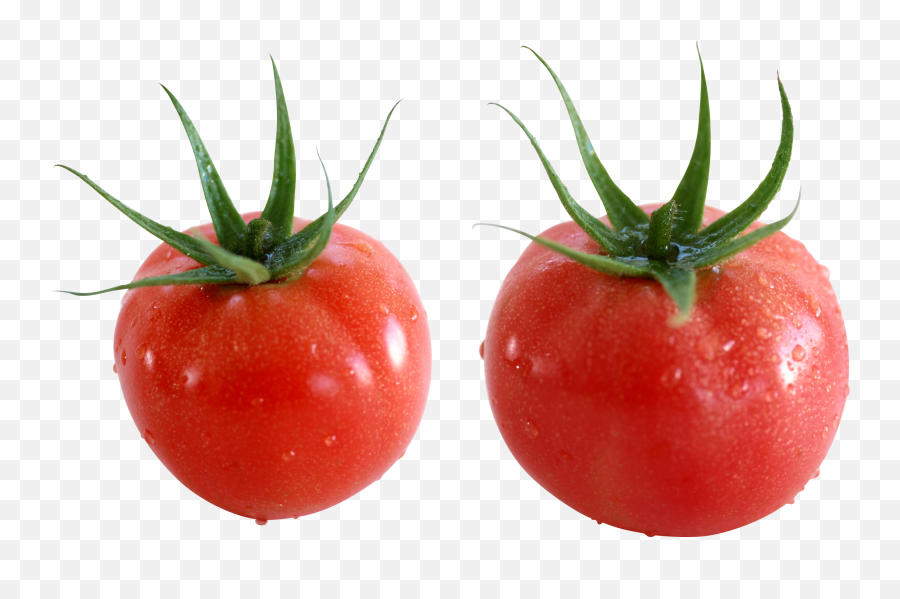 Tomato Drawing Vegetable Clip Art - Tomato Png Download Tomate Cherry Emoji,Tomato Emoji