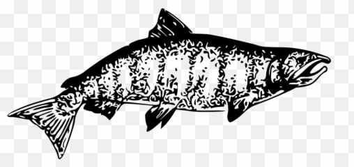 Free Seafood Fish Illustrations - Chinook Salmon Clipart Black And White Emoji