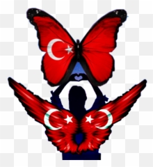 Turkey Turkish Turkishflag Flag World - Swallowtail Butterfly Emoji,Turkish Flag Emoji