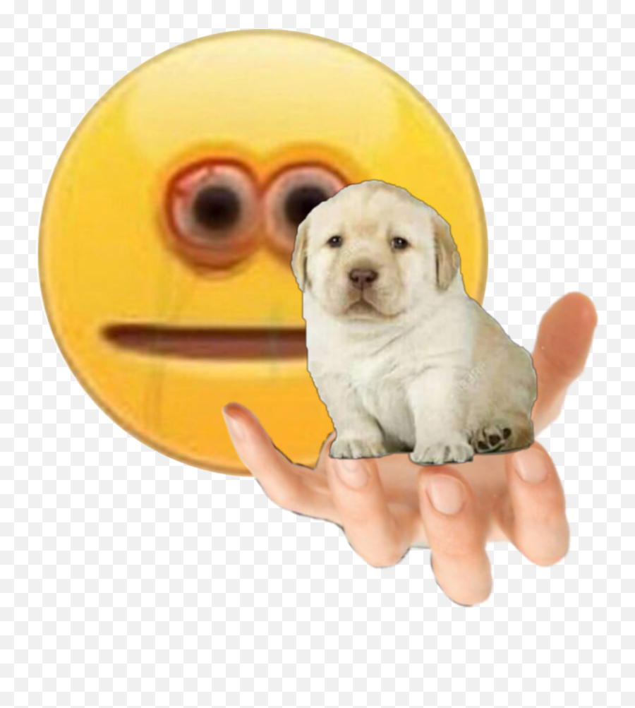 The Newest Doge Stickers - Vibe Check Emoji Png,Doge Emoticon