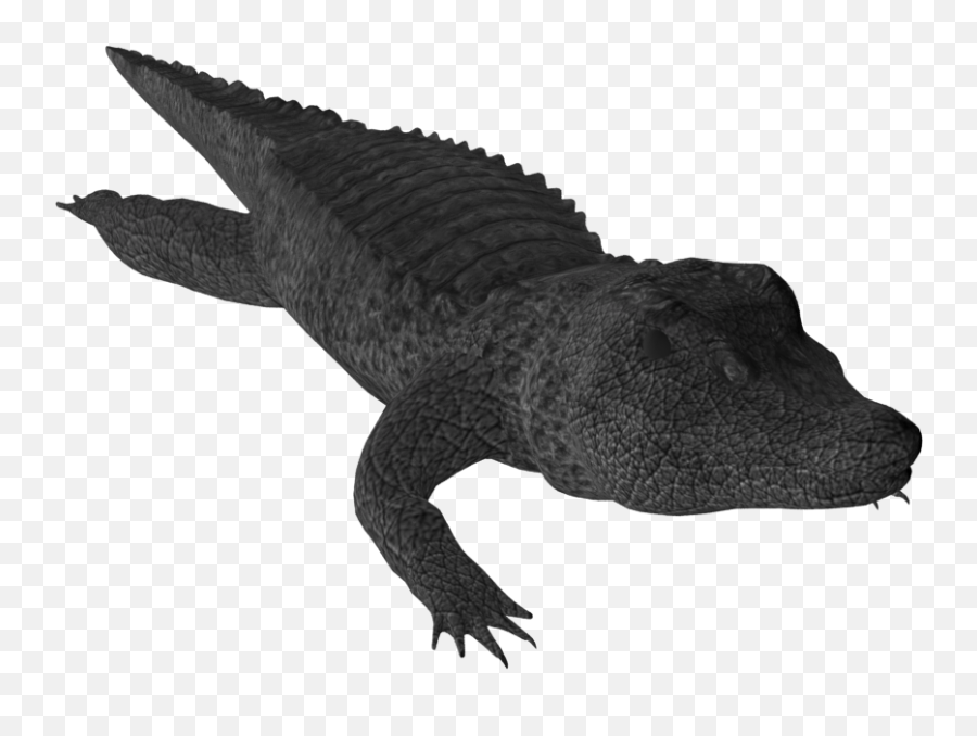 Png Free Download Crocodile Clipart Small Alligator - Nile Crocodile Hd Image Download Emoji,Alligator Emoji