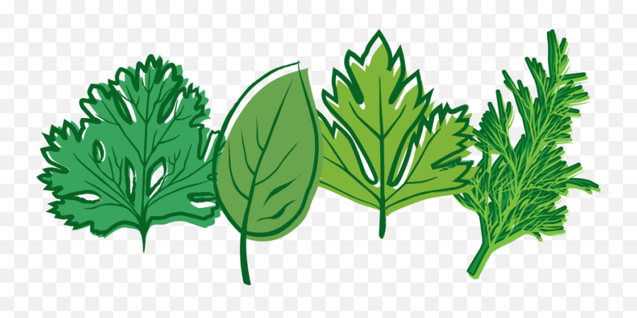 Plants Clipart Herb Plants Herb - Apoptosis Natural Product And Drug Emoji,Herb Emoji
