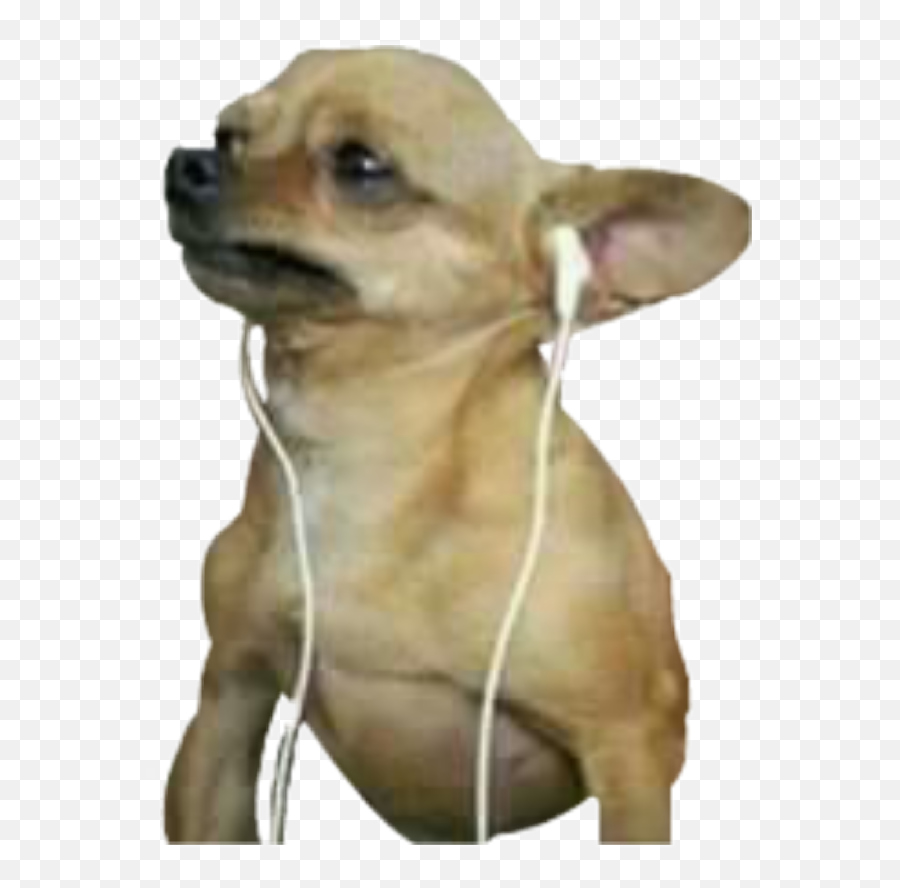 Download Sad Chihuahua - Soundcloud Tests On Animals Emoji,Chihuahua Emoji