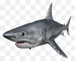 Vectors Graphics Psd Files - Transparent Hungry Shark Png Emoji,Shark Emojis