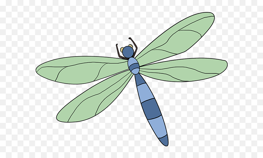 How To Draw A Dragonfly - Dragonfly Drawing With Color Emoji,Dragonfly Emoji