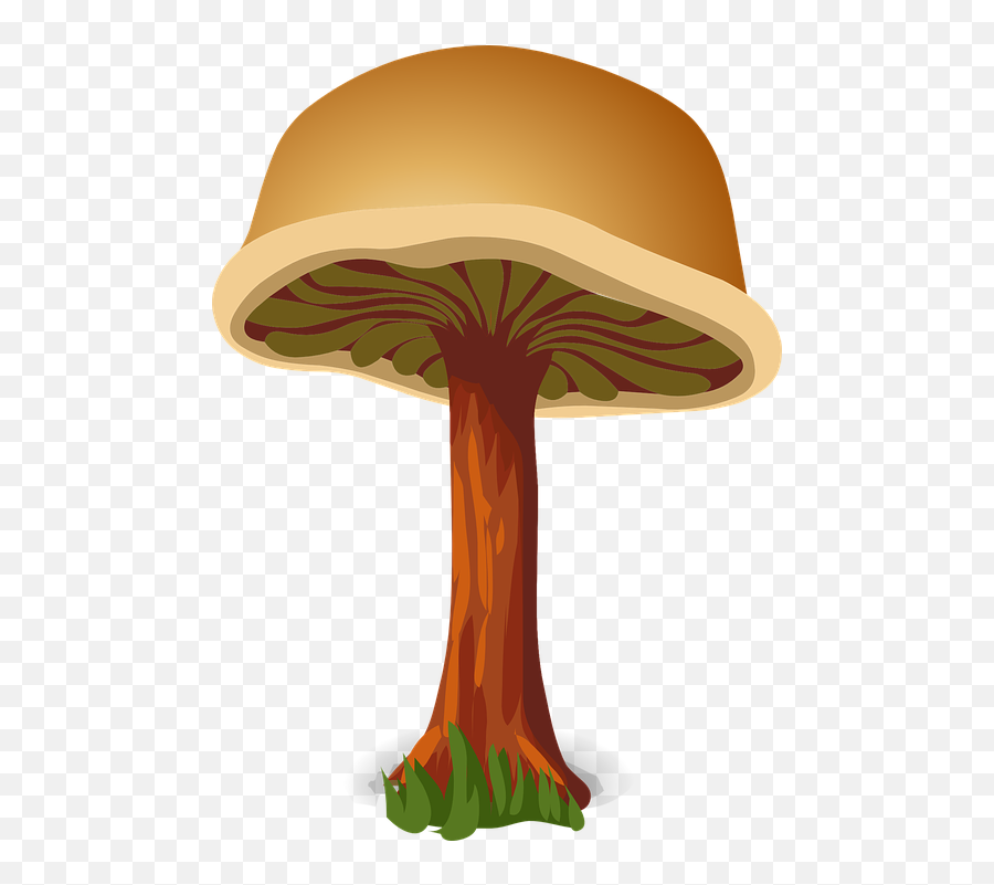 Free Friendly Happy Vectors - Mushroom Emoji,Mushroom Cloud Emoji