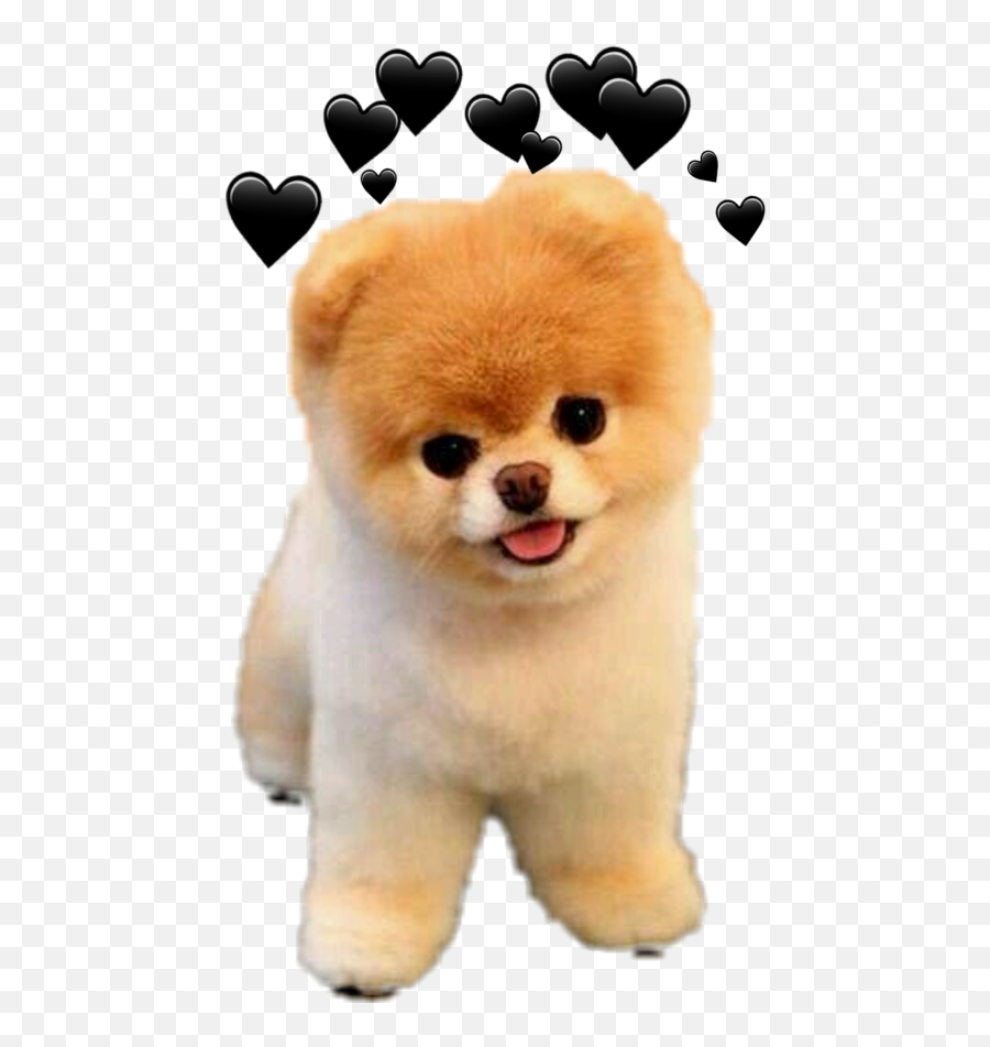 Doggy Sticker Jiffpom - Purple Hearts Snapchat Png Emoji,Jiffpom Emoji