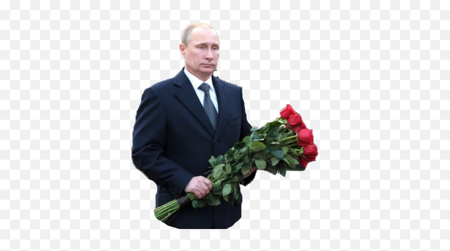 Putin Stickers By App - Artmentcom Garden Roses Emoji,Putin Emoji