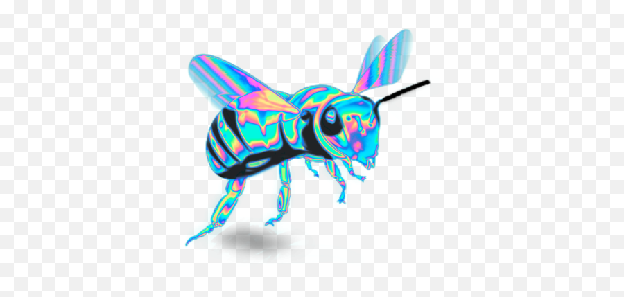 Empress Iridescence Prismacolor Art Art Reference Photos - Holographic Bee Emoji,Hornet Emoji