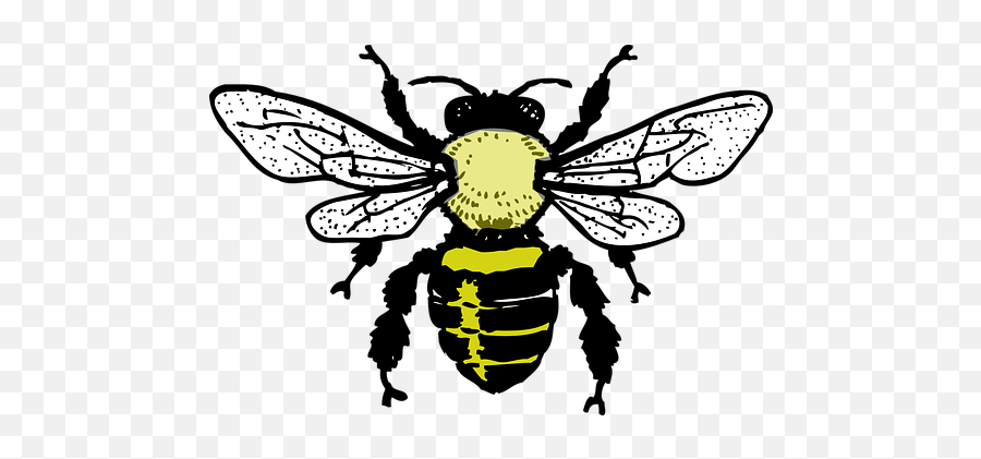 Free Bee Honey Vectors - Black And White Bee Png Emoji,Zzz Ant Ladybug Ant Emoji