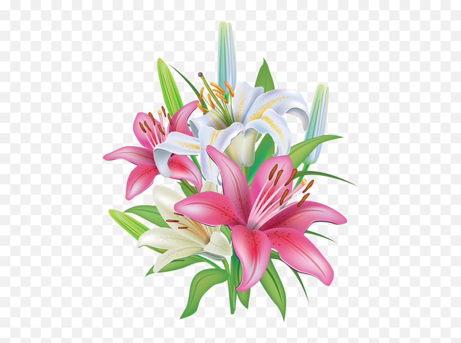 Lilies Flowers Decoration Png Clipart - Lily Clipart Emoji,Lily Flower Emoji