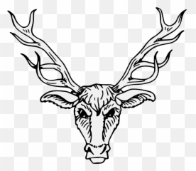 Red Deer Clip Art Heraldry Portable - Deer Head Heraldic Png Emoji,Buck Deer Emoji