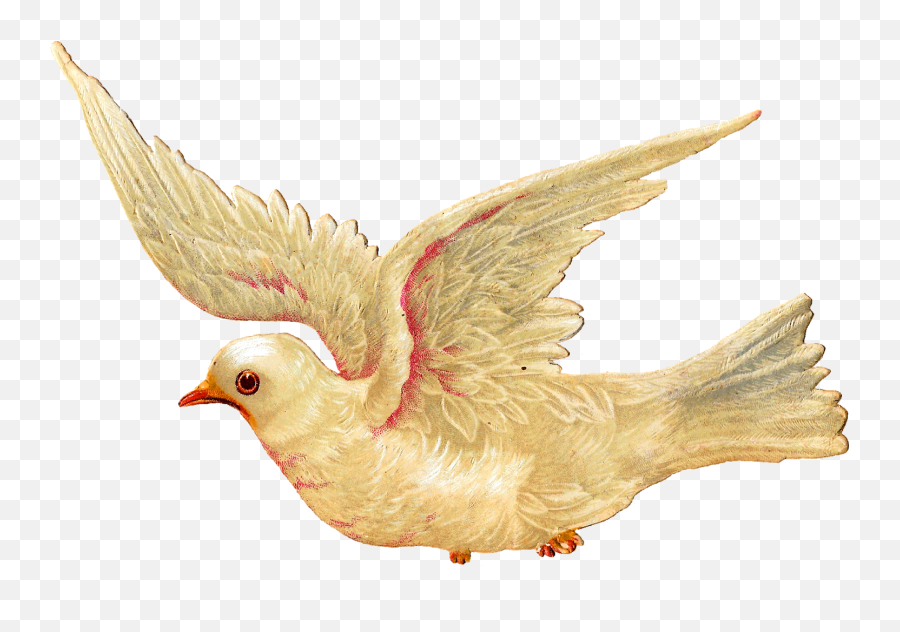 Clipart Bird Dove Clipart Bird Dove Transparent Free For - Flying Bird Illustration Vintage Emoji,Dove Emoji Png