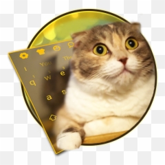 3d Live Chubby Cute Kitty Keyboard - Asian Emoji