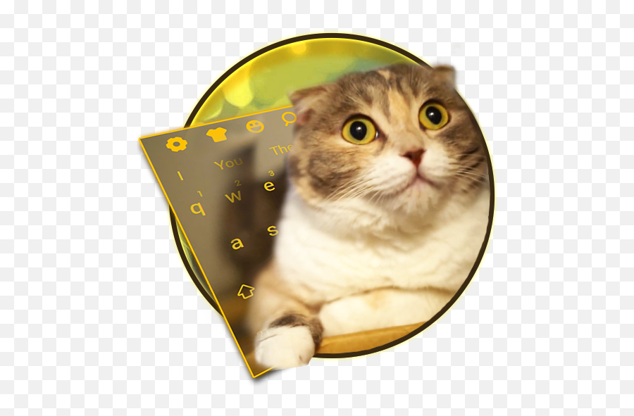 3d Live Chubby Cute Kitty Keyboard - Asian Emoji,Duh Emoticons