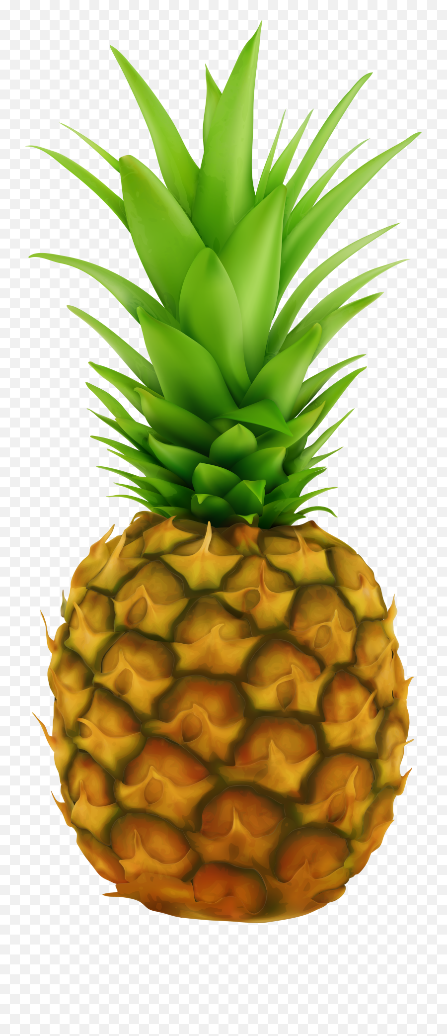 3682 Pineapple Free Clipart - Pineapple Fruit Transparent Background Emoji,Pineapple Emoji