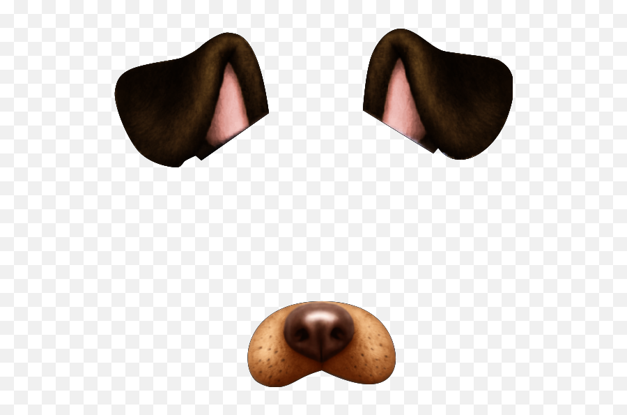 Mask Memezasf Eyes Dog Ears Dogears Face Head Zombie - Dark Snapchat Filter Transparent Emoji,Sunglasses Emoji On Snap