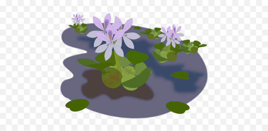 Violet Plant - Water Hyacinth Clipart Png Emoji,Japanese Emoji Flower