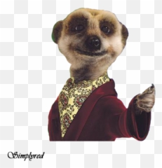 Meerkat - Alexander Compare The Market Emoji,Meerkat Emoji
