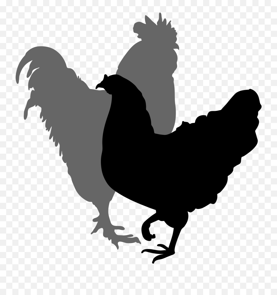 Rooster Vector Silhouette Free At Getdrawings Free Download - Chickens Silhouette Rooster And Hen Emoji,Chicken Emojis