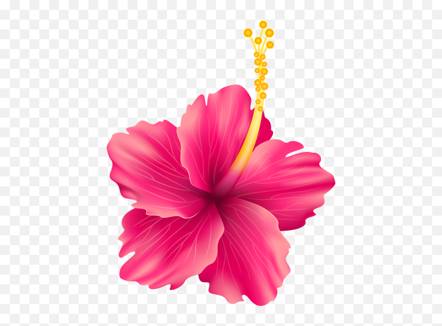 Hawaiian Flower Png Hawaiian Flower - Pink Tropical Flowers Png Emoji,Hawaiian Flower Emoji