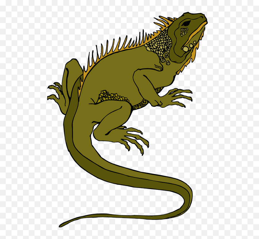 Lizard Svg Emoji Transparent Png - Marine Iguana Clip Art,Chameleon Emoji