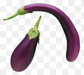 Eggplant Png And Vectors For Free Download - Eggplant Vegetable Png Emoji,Egg Plant Emoji