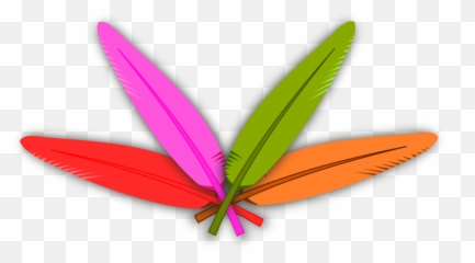 Turkey Feathers Clipart Clipground Png - Turkey Feathers Clipart Emoji,Is There A Feather Emoji