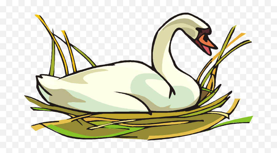 Clipart Duck Swan Clipart Duck Swan Transparent Free For - Free Clipart Swan Emoji,Swan Emoji