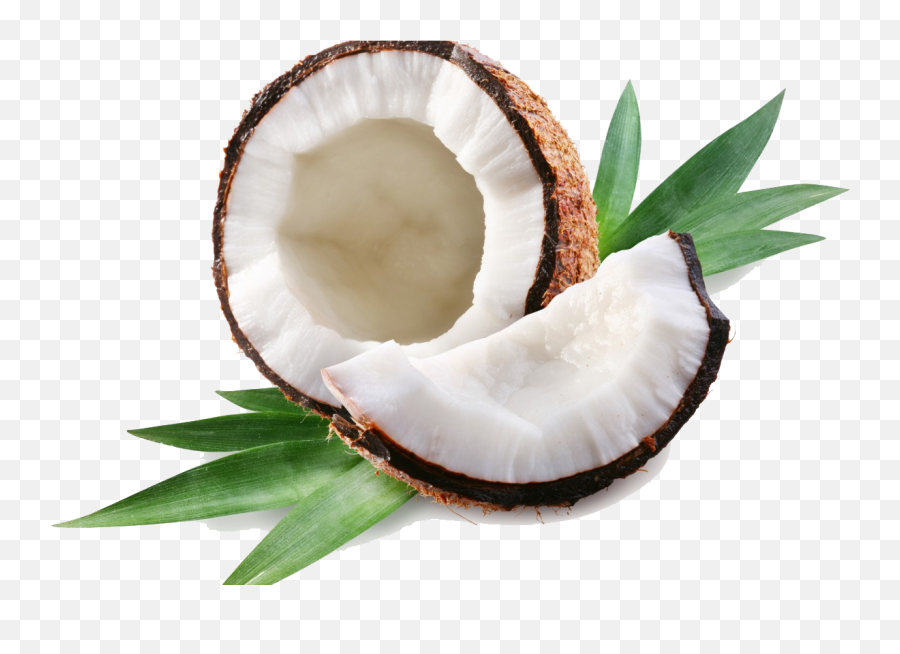 Coconut Png Transparent Images - Transparent Coconut Png Emoji,Emoji Coconut