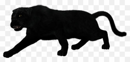 Drawing Panther Full Body Transparent Png Clipart Free - Transparent Background Panther Transparent Emoji,Panther Emoji