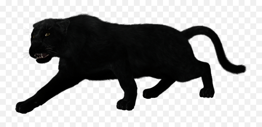 Drawing Panther Full Body Transparent Png Clipart Free - Transparent Background Panther Transparent Emoji,Panther Emoji