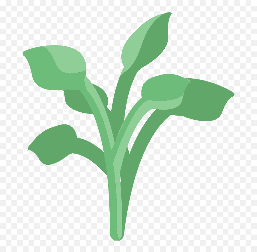 Herb Emoji Clipart Free Download Transparent Png Creazilla - Fresh,Plant Emoji