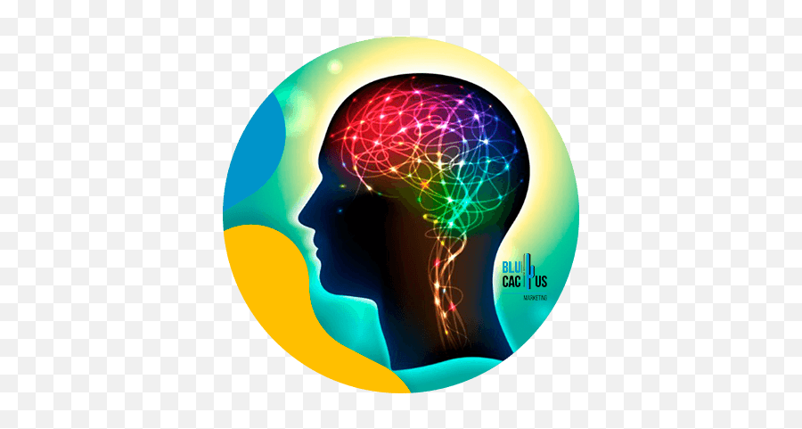 The Psychology Of Color And Why Its So - Neurons In The Brain Clipart Emoji,Color Emotions Meanings