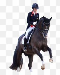 Valegro Dressage Horses Horselove Emoji