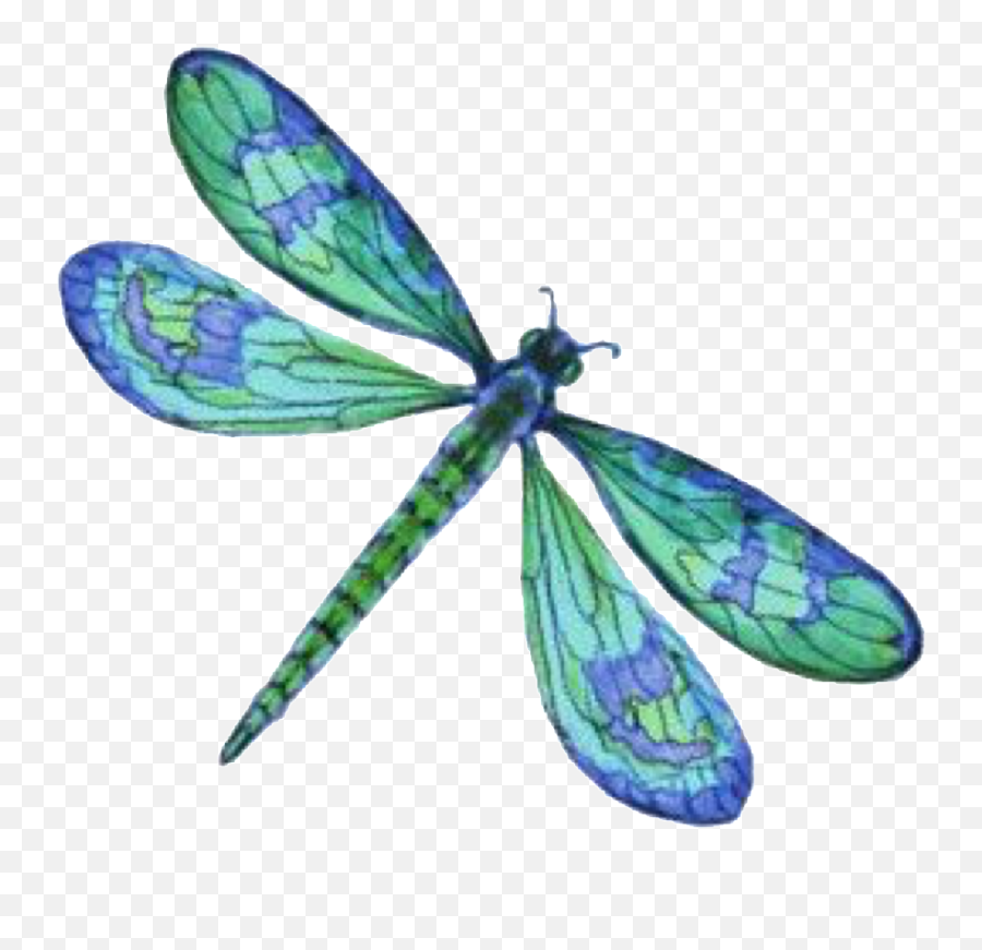 Dragonfly Freetoedit - Dragonfly Clipart Emoji,Dragonfly Emoji