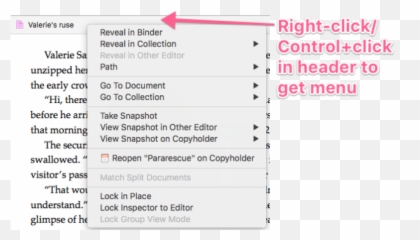Editor Settings u2013 Scrivener Classes - Screenshot Emoji