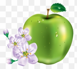 15 Green Apple Png Image - Flower And Icon Emoji
